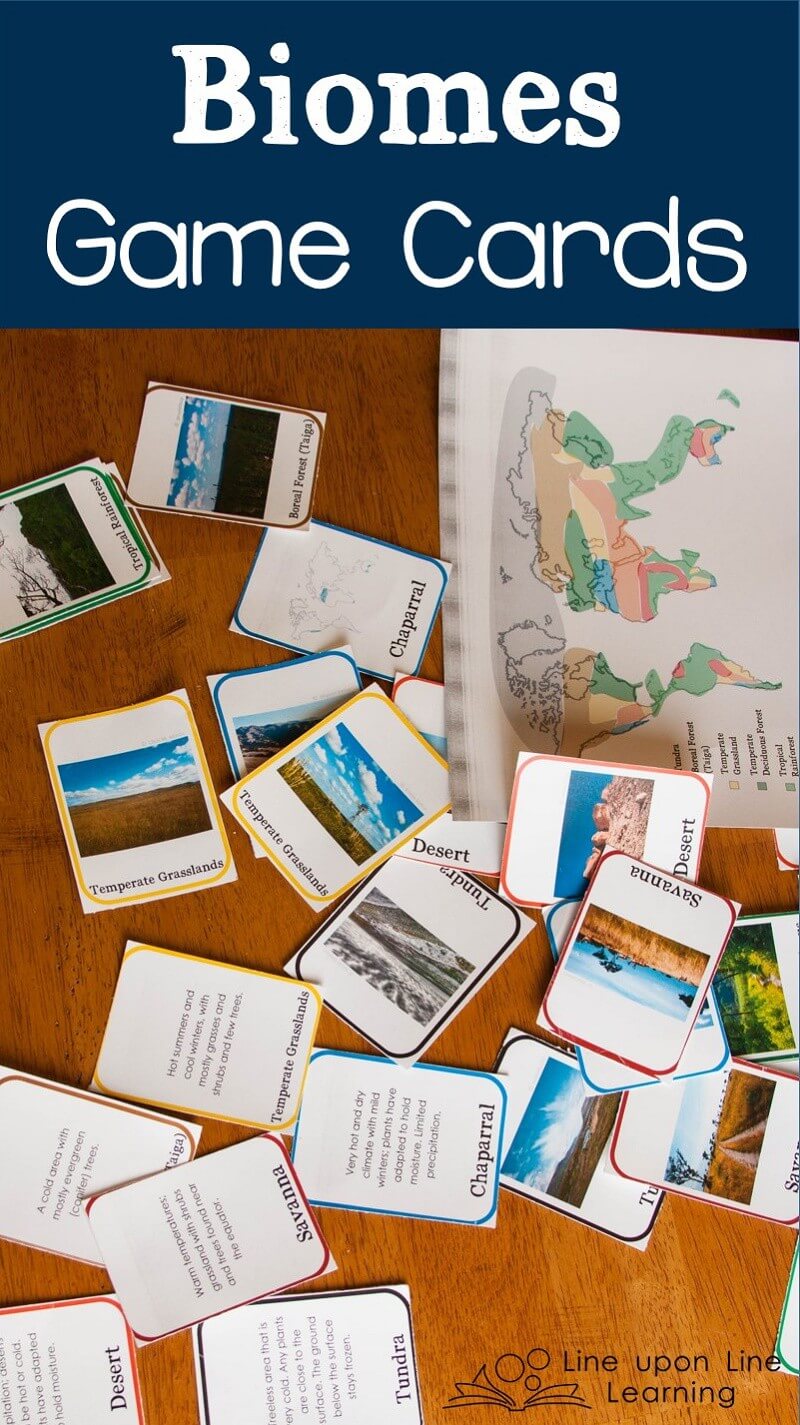 These biomes game cards helped us review the eight land-based biomes. The biomes game cards have descriptions, maps, and real photographs.