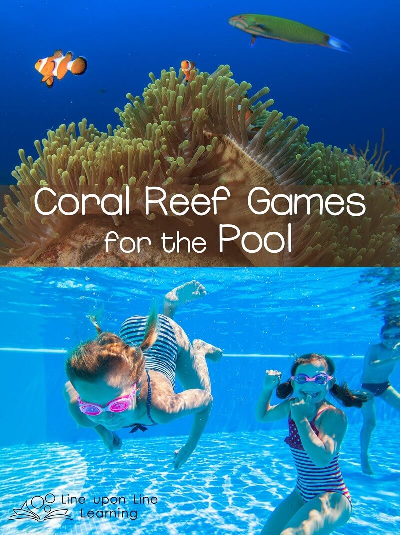 After learning about the coral reef, we love to take our play to the pool for swimming coral reef games!