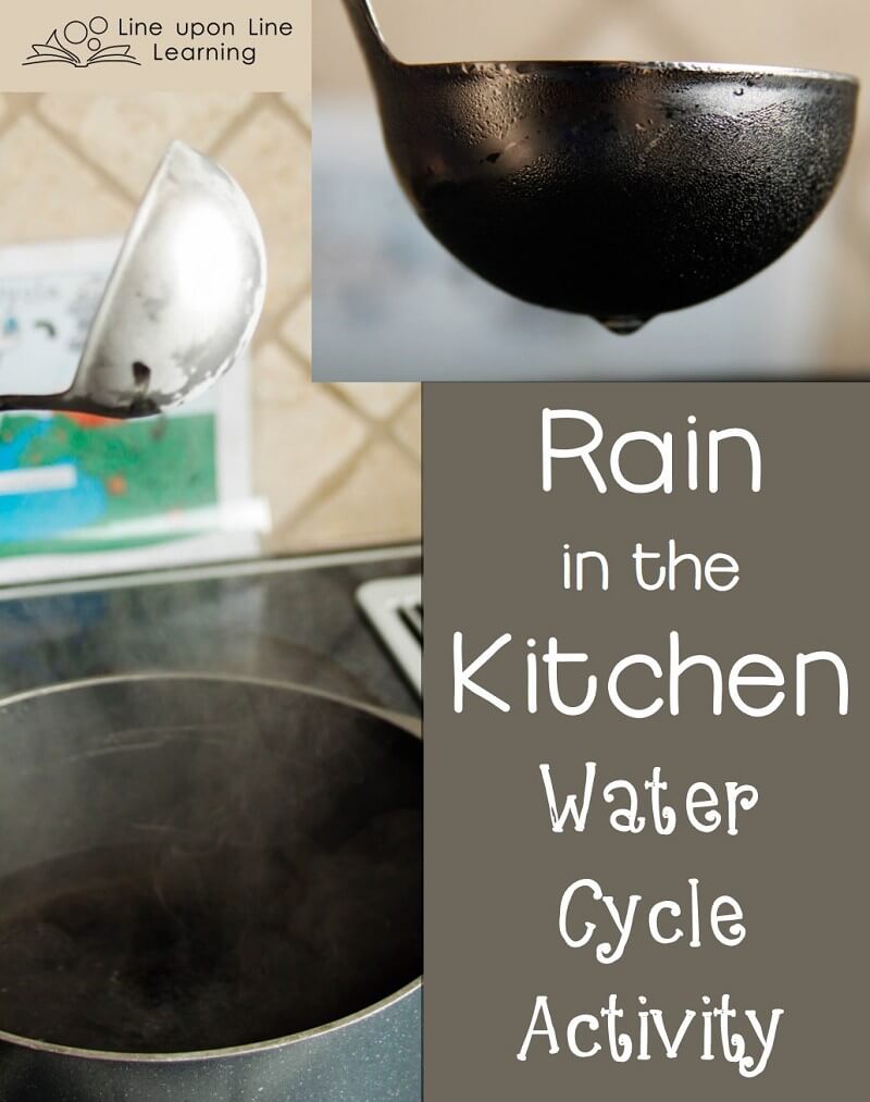 We made it "rain" in the kitchen with a simple water cycle activity.